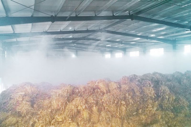 提升煙葉加工質量，高效回潮很重要