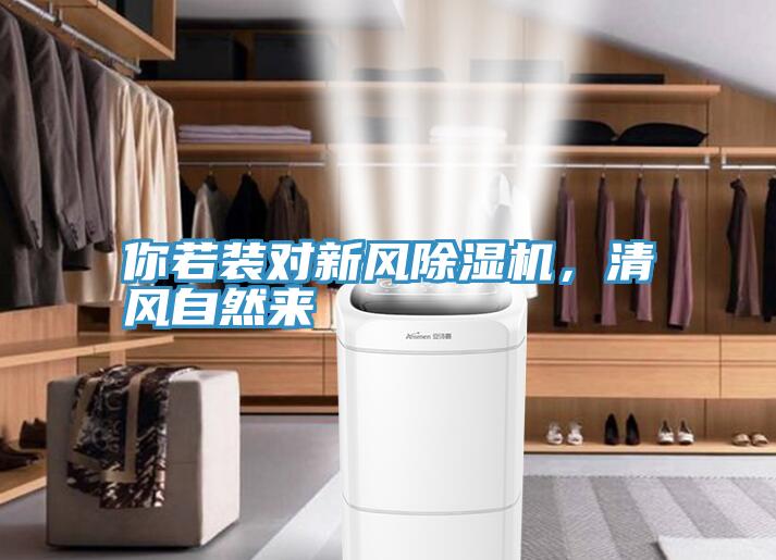 你若裝對新風草莓污视频在线看，清風自然來