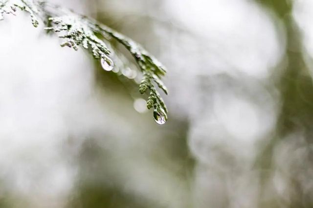 空氣濕度大帶來的危害有哪些，你知道嗎？