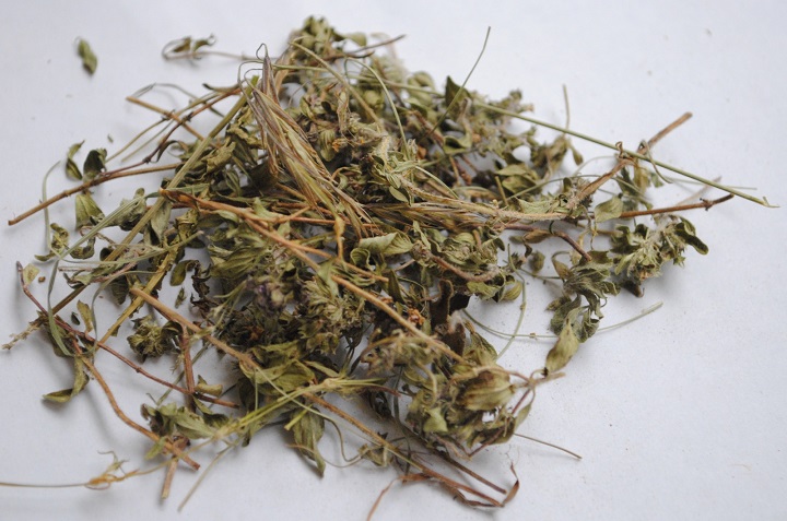 草莓视频性福宝烘幹機
