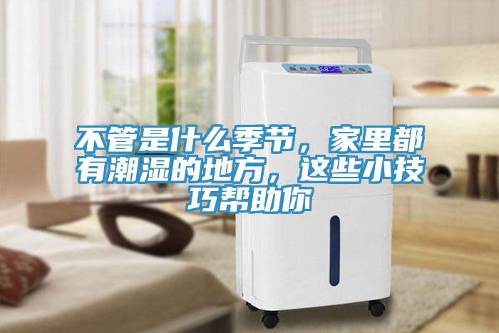 不管是什麽季節，家裏都有潮濕的地方，這些小技巧幫助你