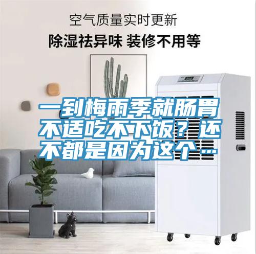 一到梅雨季就腸胃不適吃不下飯？還不都是因為這個…