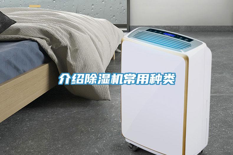 介紹草莓污视频在线看常用種類