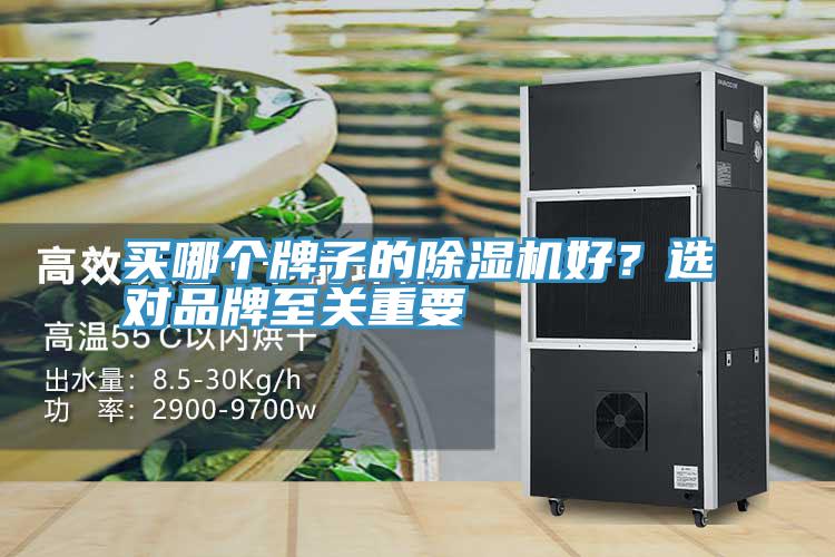 買哪個牌子的草莓污视频在线看好？選對品牌至關重要