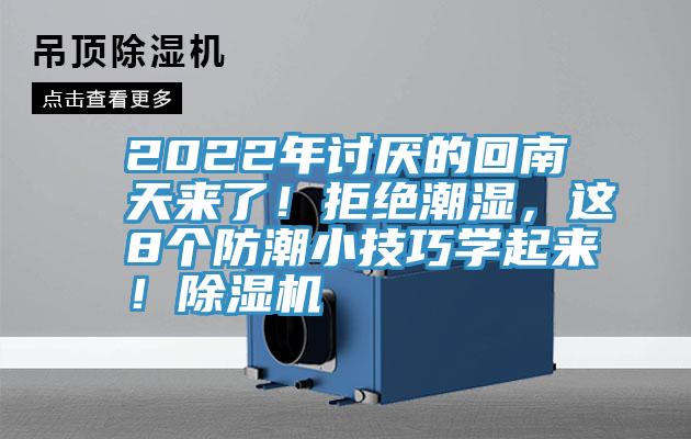 2022年討厭的回南天來了！拒絕潮濕，這8個防潮小技巧學起來！草莓污视频在线看