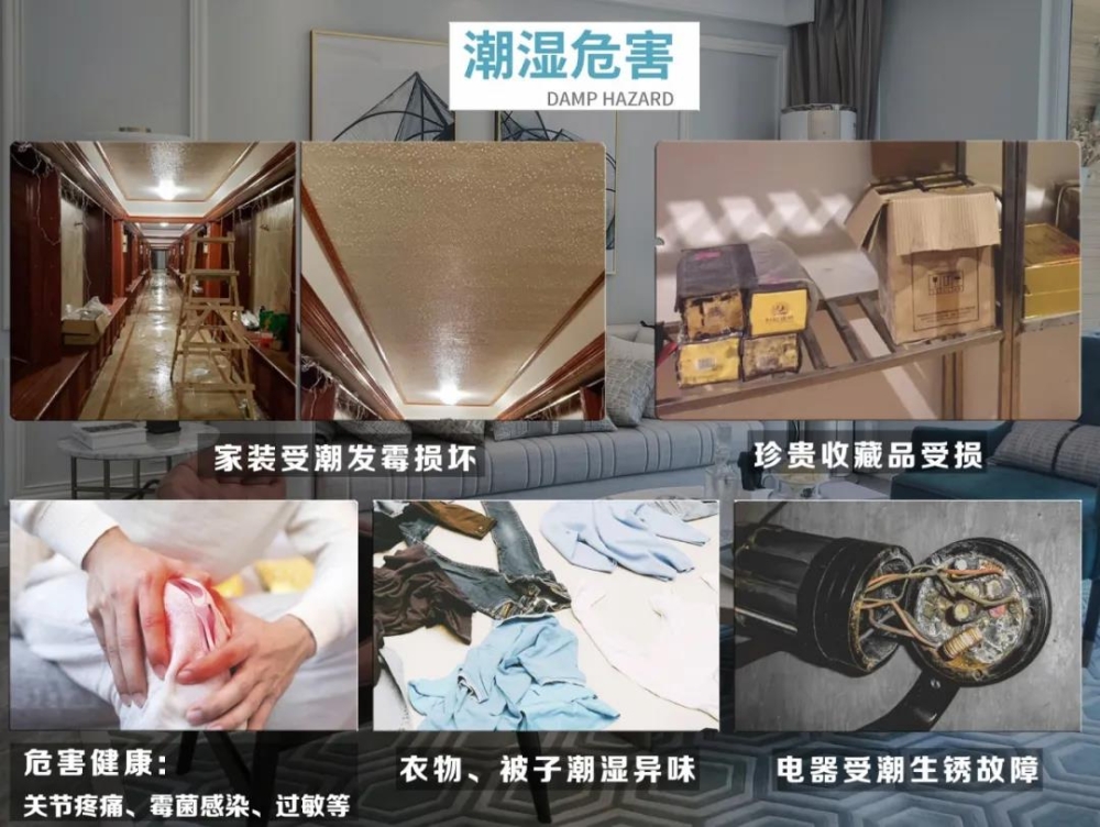 草莓污视频在线看