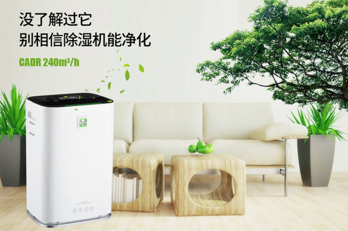 一到回南天狗狗就感冒+皮膚病，怎麽辦？