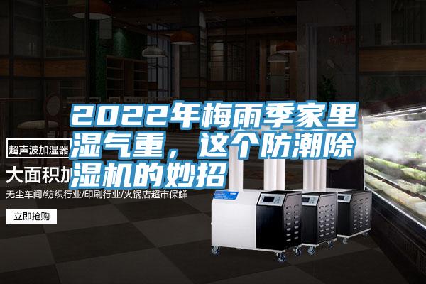 2022年梅雨季家裏濕氣重，這個防潮草莓污视频在线看的妙招