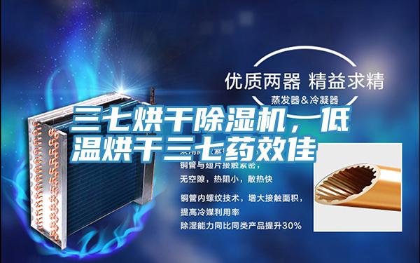 三七烘幹草莓污视频在线看，低溫烘幹三七藥效佳