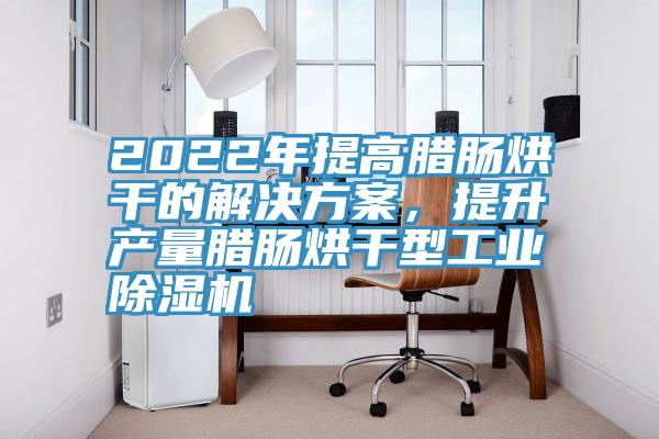 2022年提高臘腸烘幹的解決方案，提升產量臘腸烘幹型工業草莓污视频在线看