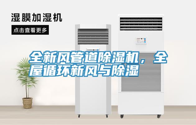 全新風管道草莓污视频在线看，全屋循環新風與除濕