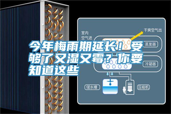 今年梅雨期延長！受夠了又濕又黴？你要知道這些