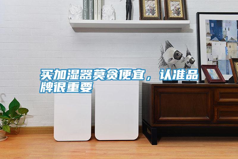 買加濕器莫貪便宜，認準品牌很重要