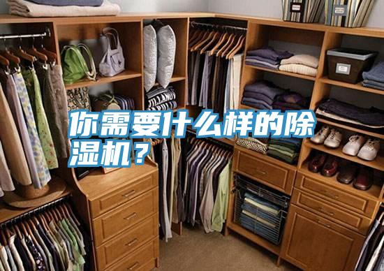 你需要什麽樣的草莓污视频在线看？