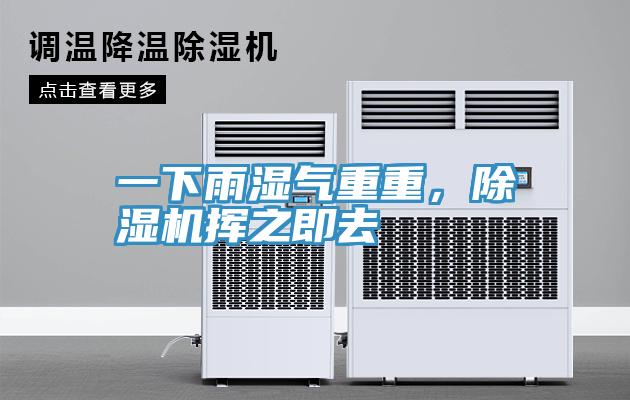 一下雨濕氣重重，草莓污视频在线看揮之即去