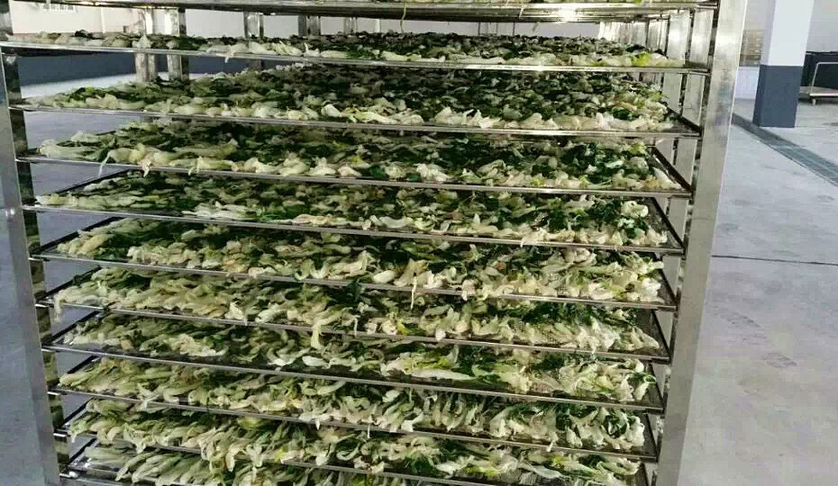 菜幹需求一直都很大，蔬菜烘幹機很有市場