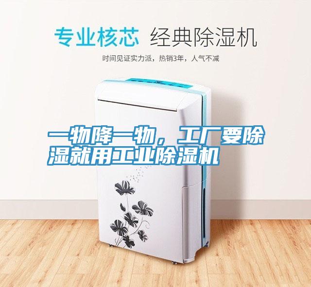 一物降一物，工廠要除濕就用工業草莓污视频在线看