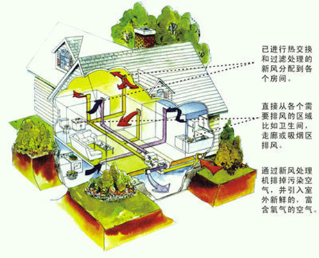工業草莓污视频在线看廠家