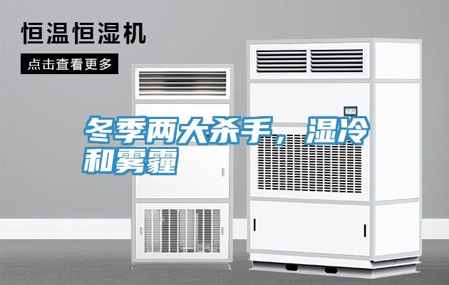 冬季兩大殺手，濕冷和霧霾