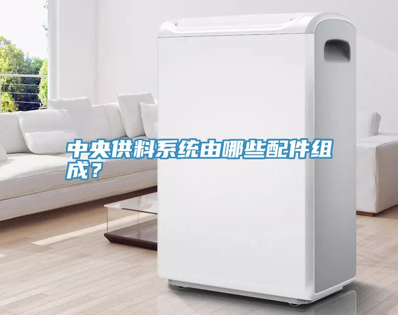 中央供料係統由哪些配件組成？