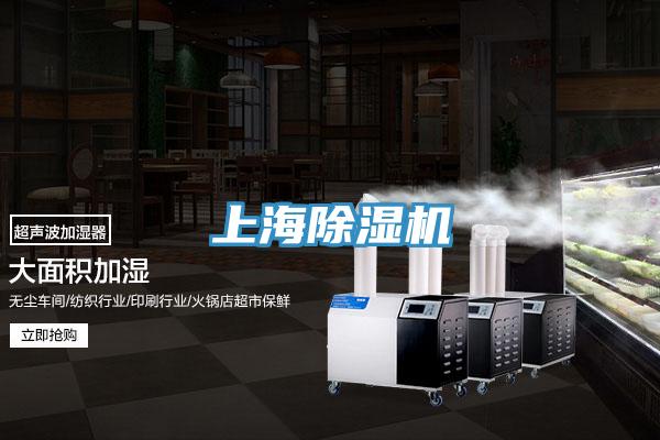 上海草莓污视频在线看