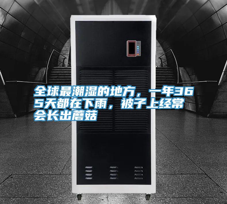 全球最潮濕的地方，一年365天都在下雨，被子上經常會長出蘑菇