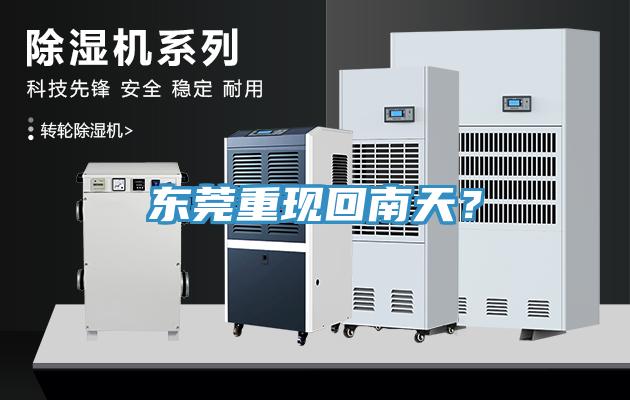 東莞重現回南天？