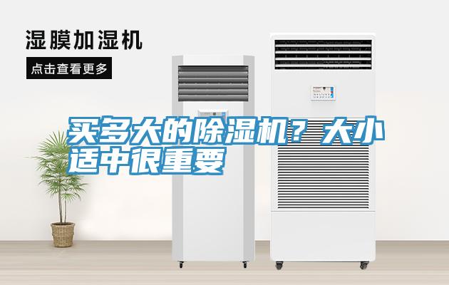 買多大的草莓污视频在线看？大小適中很重要