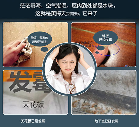 家庭別墅的地下室、衛生間、儲物室等該如何除濕？