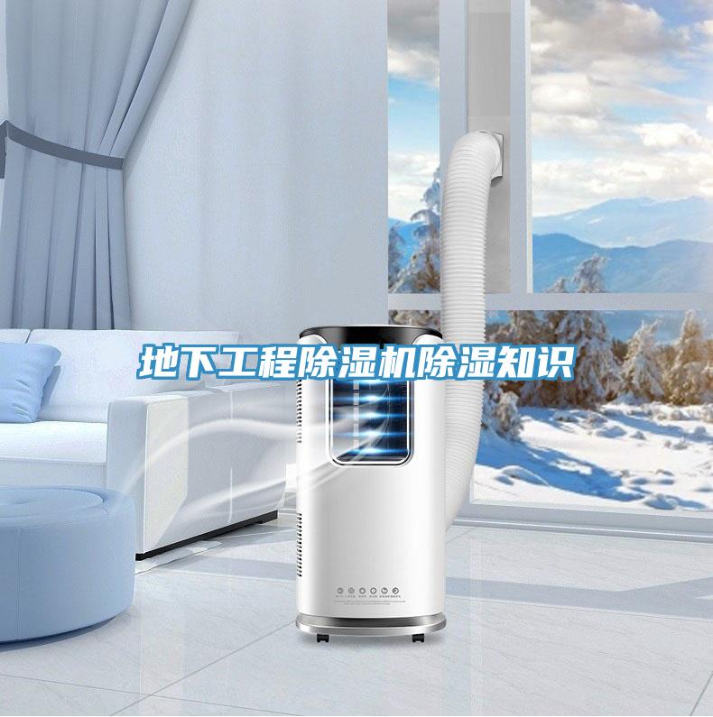 地下工程草莓污视频在线看除濕知識