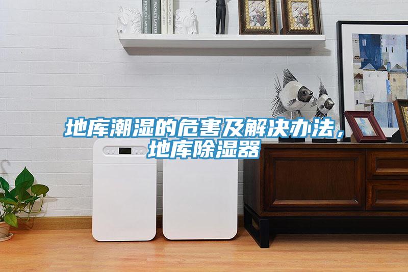 地庫潮濕的危害及解決辦法，地庫除濕器