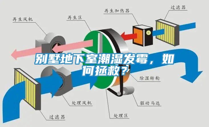 別墅地下室潮濕發黴，如何拯救？