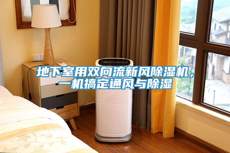 地下室用雙向流新風草莓污视频在线看，一機搞定通風與除濕