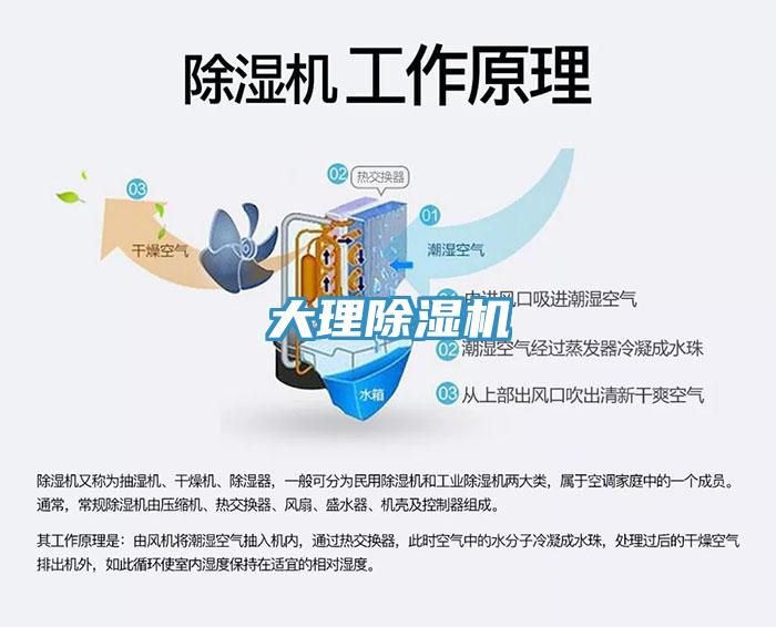 大理草莓污视频在线看