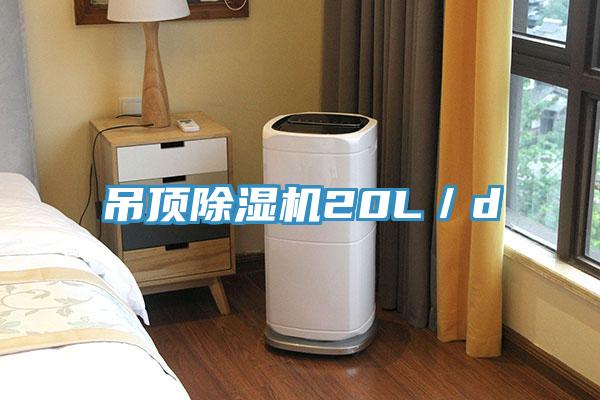 吊頂草莓污视频在线看20L／d