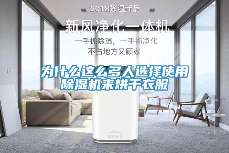 為什麽這麽多人選擇使用草莓污视频在线看來烘幹衣服