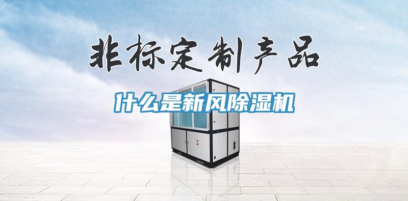 什麽是新風草莓污视频在线看