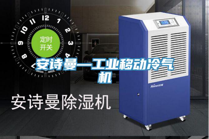 草莓视频性福宝—工業移動冷氣機