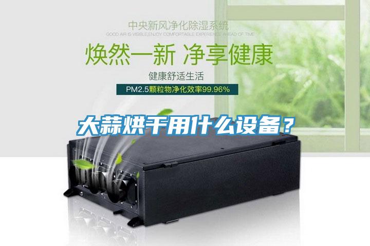 大蒜烘幹用什麽設備？