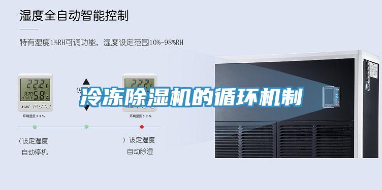 冷凍草莓污视频在线看的循環機製