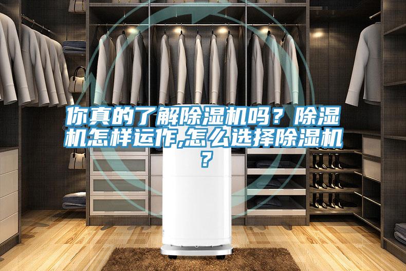 你真的了解草莓污视频在线看嗎？草莓污视频在线看怎樣運作,怎麽選擇草莓污视频在线看？