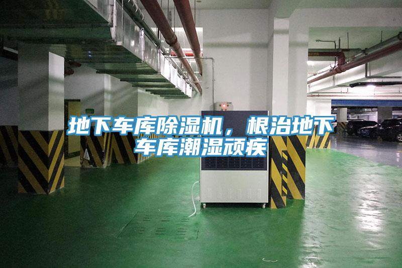 地下車庫草莓污视频在线看，根治地下車庫潮濕頑疾