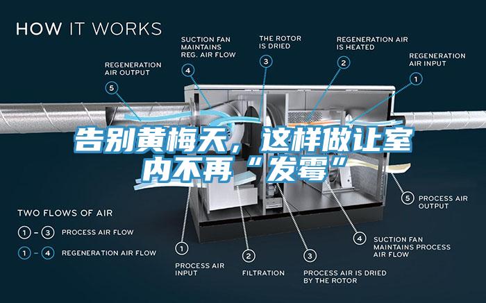 告別黃梅天，這樣做讓室內不再“發黴”