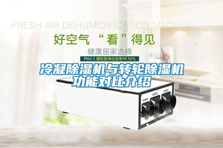 冷凝草莓污视频在线看與轉輪草莓污视频在线看功能對比介紹