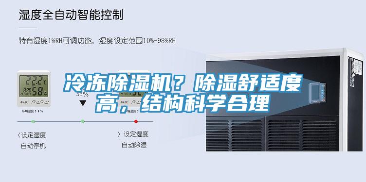 冷凍草莓污视频在线看？除濕舒適度高，結構科學合理