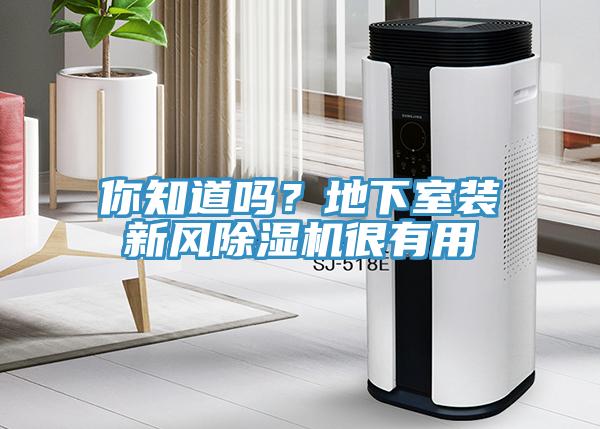 你知道嗎？地下室裝新風草莓污视频在线看很有用
