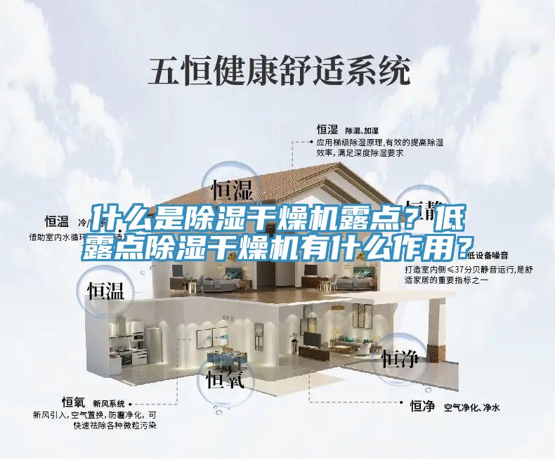 什麽是除濕幹燥機露點？低露點除濕幹燥機有什麽作用？