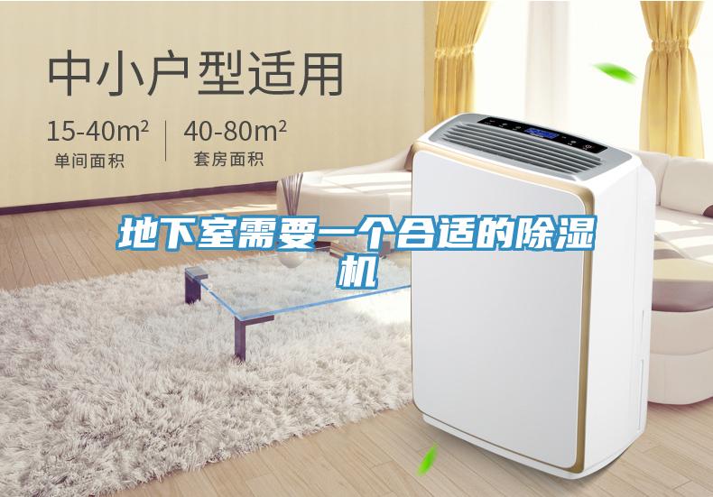 地下室需要一個合適的草莓污视频在线看