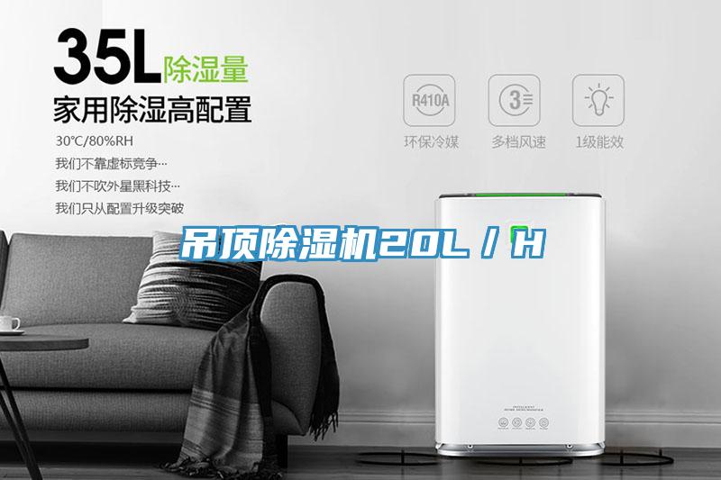 吊頂草莓污视频在线看20L／H