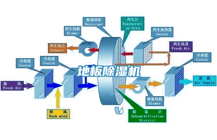 地板草莓污视频在线看